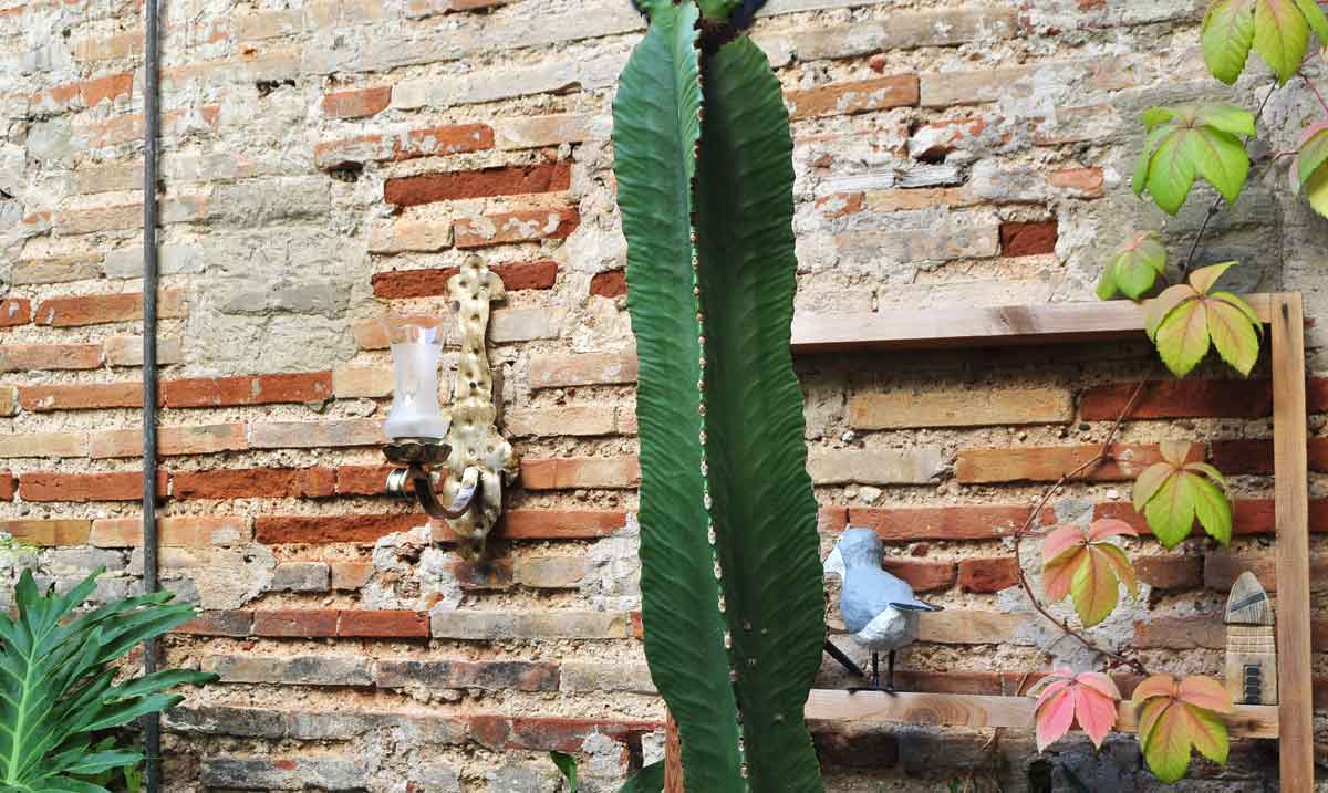 Lamparas Cebria